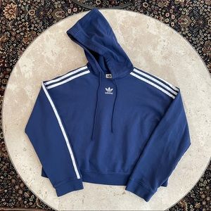 beychella cropped hoodie